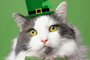 Lucky-Paws-Celebrate-St.-Patrick-s-Day-with-Your-Pets PawSolo™