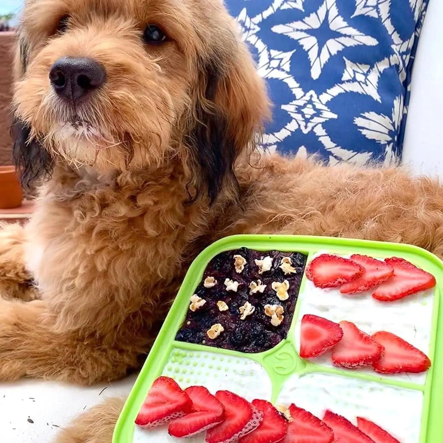 IQ Treat Lick Mat โ Slow Feeder for Dogs & Cats | Fun, Enriching Puzzle Mat for Anxiety Relief & Healthy Eating