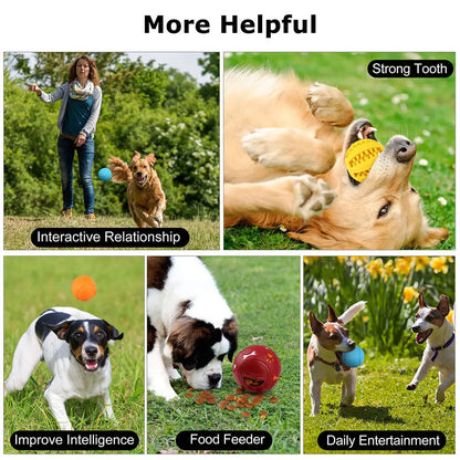 4Pcs Pet Dog Interactive Tumbler Food Dispenser Feeder IQ Puzzle Treat Ball Toys