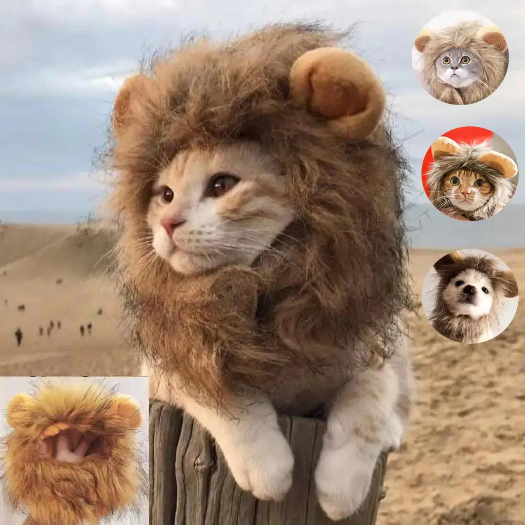 Realistic Lion Mane Costume for Dogs & Cats – Fun Pet Outfit for Halloween and Parties