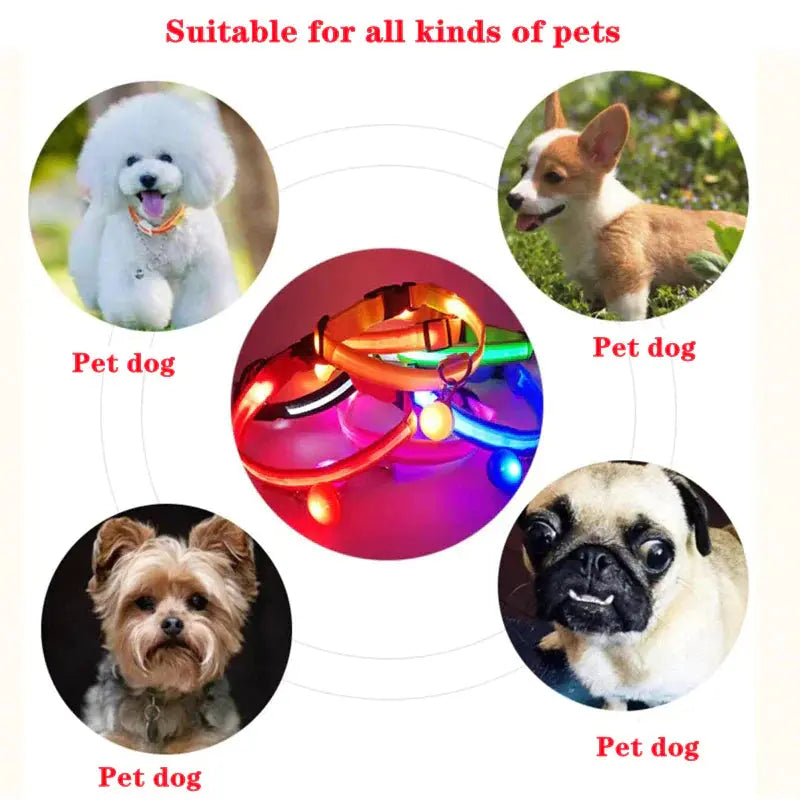 💡🐾 LED Adjustable Dog Collar | Blinking & Flashing Light | Glow Pets Safety | Waterproof 🌧️