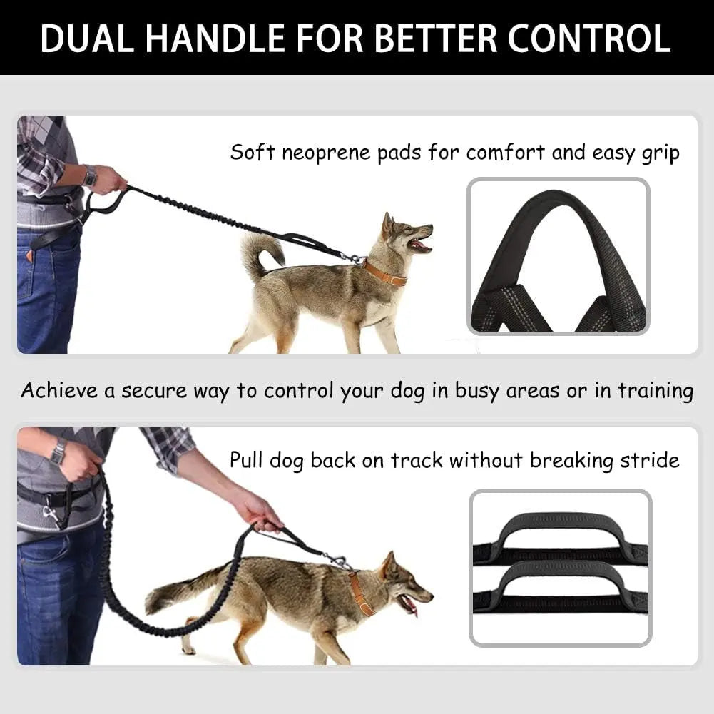 Ultimate Hands-Free Dog Leash with Dual Handles and Zipper Pouch for Medium to Large Dogs