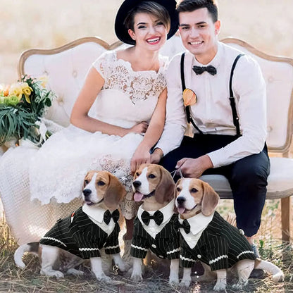 Elegant Black Tuxedo Dog Costume with Bow Tie – Formal Pet Outfit for Weddings, Halloween, and Special Occasions