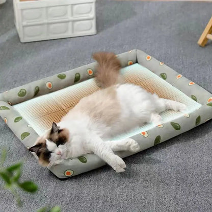 🌞🐾 Summer Cat & Dog Bed | Lightweight & Breathable | Rattan Mat | Cool Ice Nest for Pets 🐱🐶