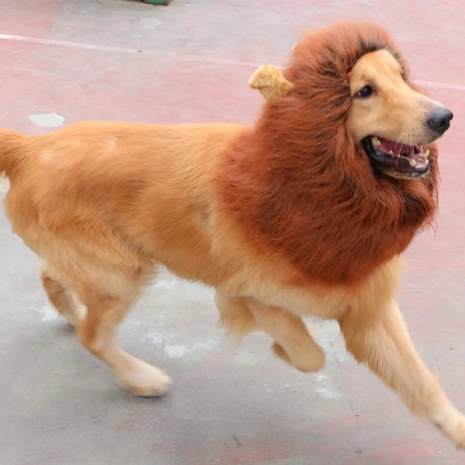 Realistic Lion Mane Costume for Dogs - Perfect for Medium & Large Breeds, Ideal for Halloween and Pet Parties