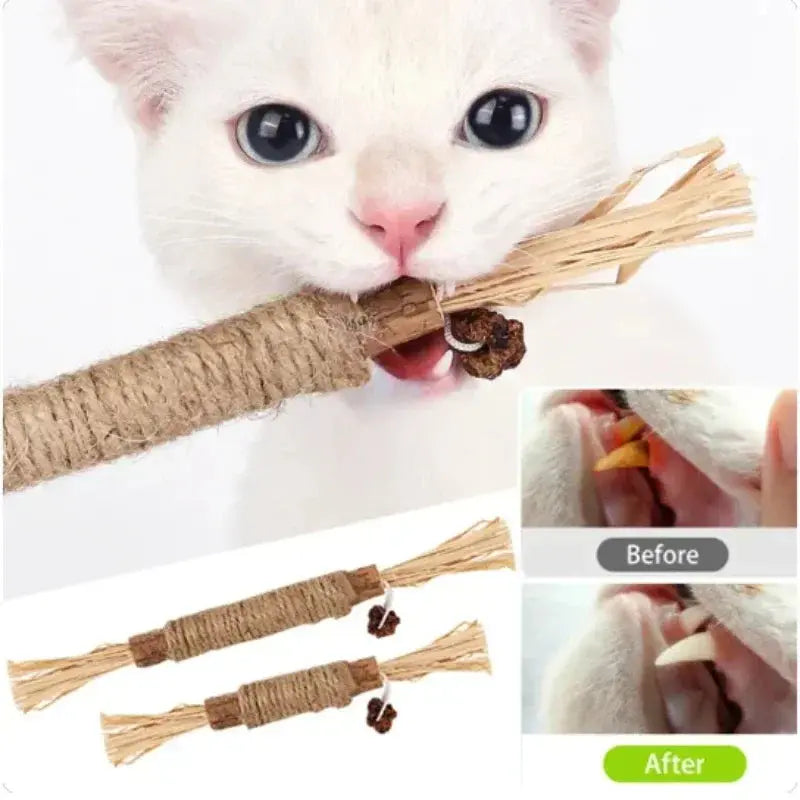 Natural Catnip Silvervine Chew Sticks - Teeth Cleaning Toys for Kittens & Cats, Chewing Snacks for Play & Dental Health