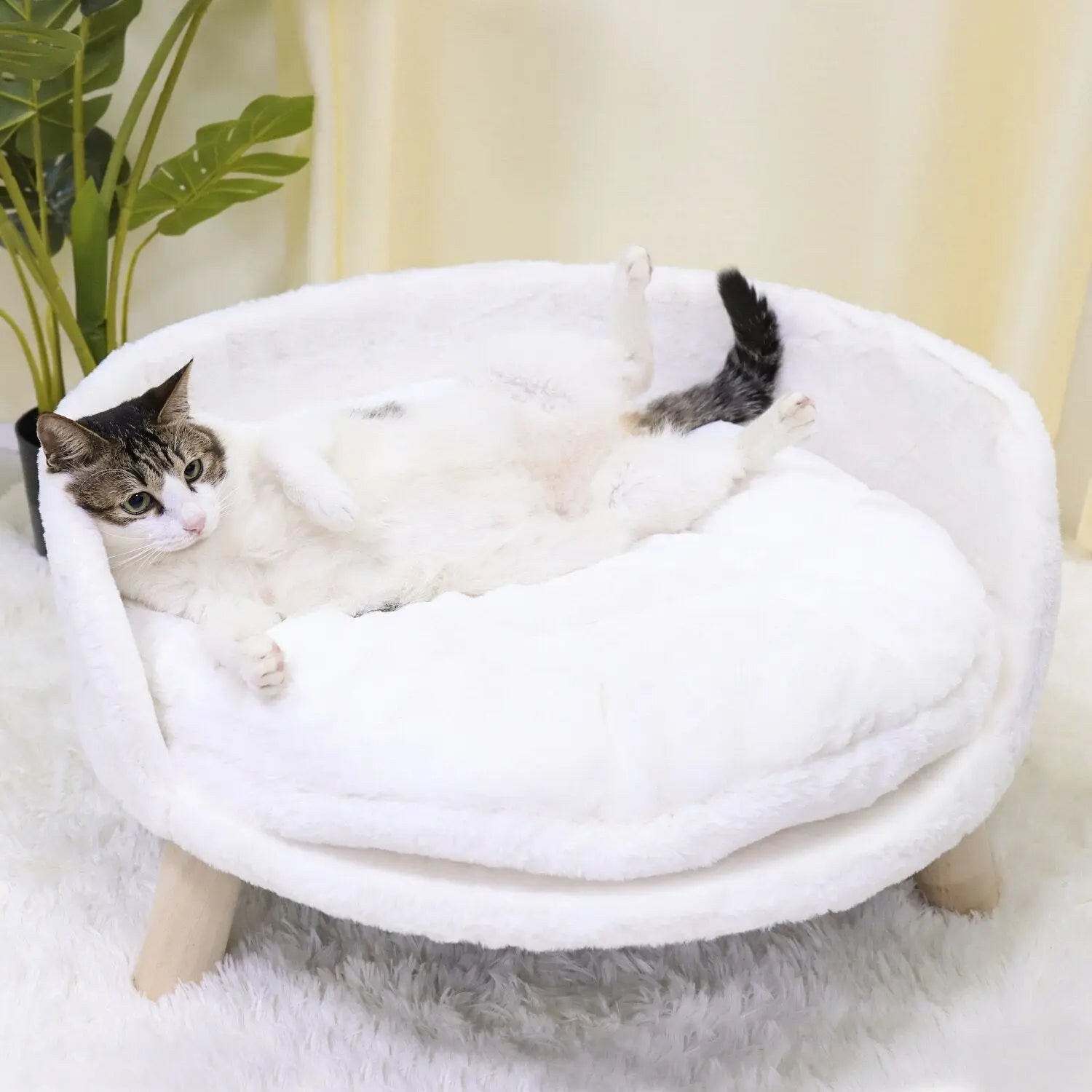 Pet Sofa Bed Raised Cat Chair Small Dog Couch Bed Removable Cushion Sleep House