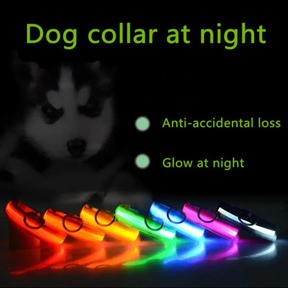 💡🐾 LED Adjustable Dog Collar | Blinking & Flashing Light | Glow Pets Safety | Waterproof 🌧️