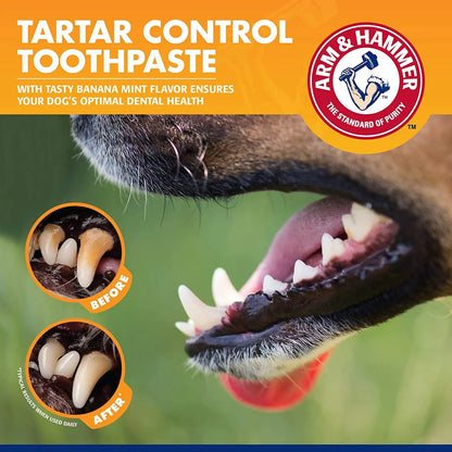 for Pets Tartar Control Kit for Dogs-Contains Toothpaste, Dog Toothbrush & Fingerbrush - Dog Teeth Cleaning Kit, Dog Toothpaste Kit from Arm and Hammer, Dog Dental Care, Pet Toothbrush