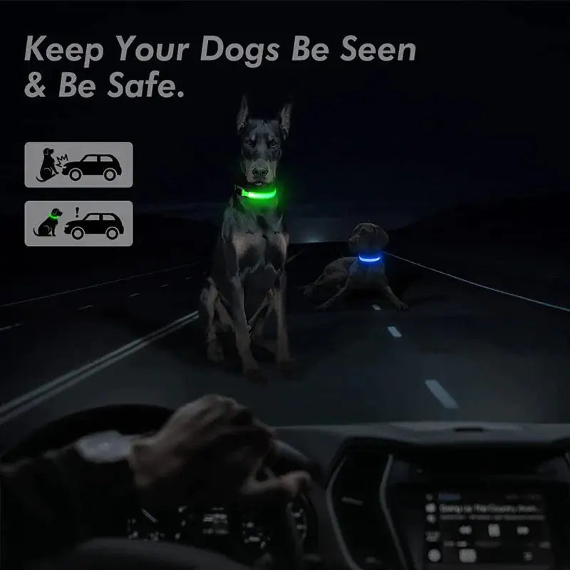 💡🐾 LED Adjustable Dog Collar | Blinking & Flashing Light | Glow Pets Safety | Waterproof 🌧️