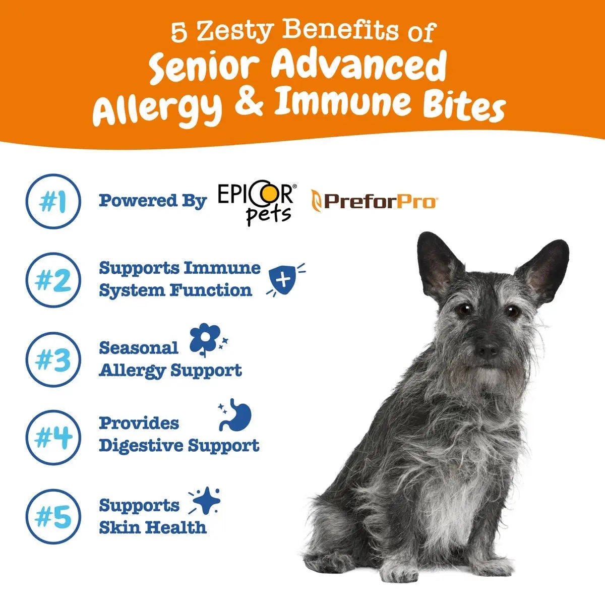 Senior Advanced Allergy Relief & Immune Support Bites for Senior Dogs,  Salmon Flavor, 90 Ct