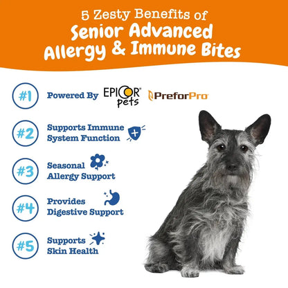 Senior Advanced Allergy Relief & Immune Support Bites for Senior Dogs,  Salmon Flavor, 90 Ct