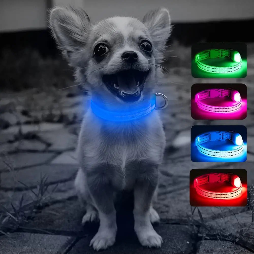 Puppy LED Dog Collars - USB Rechargeable Light up Dog Collar Adjustable Reflective Pet Collars Keep Your Small Dogs and Cats Be Seen & Safe in the Dark (XS, Royal Blue)