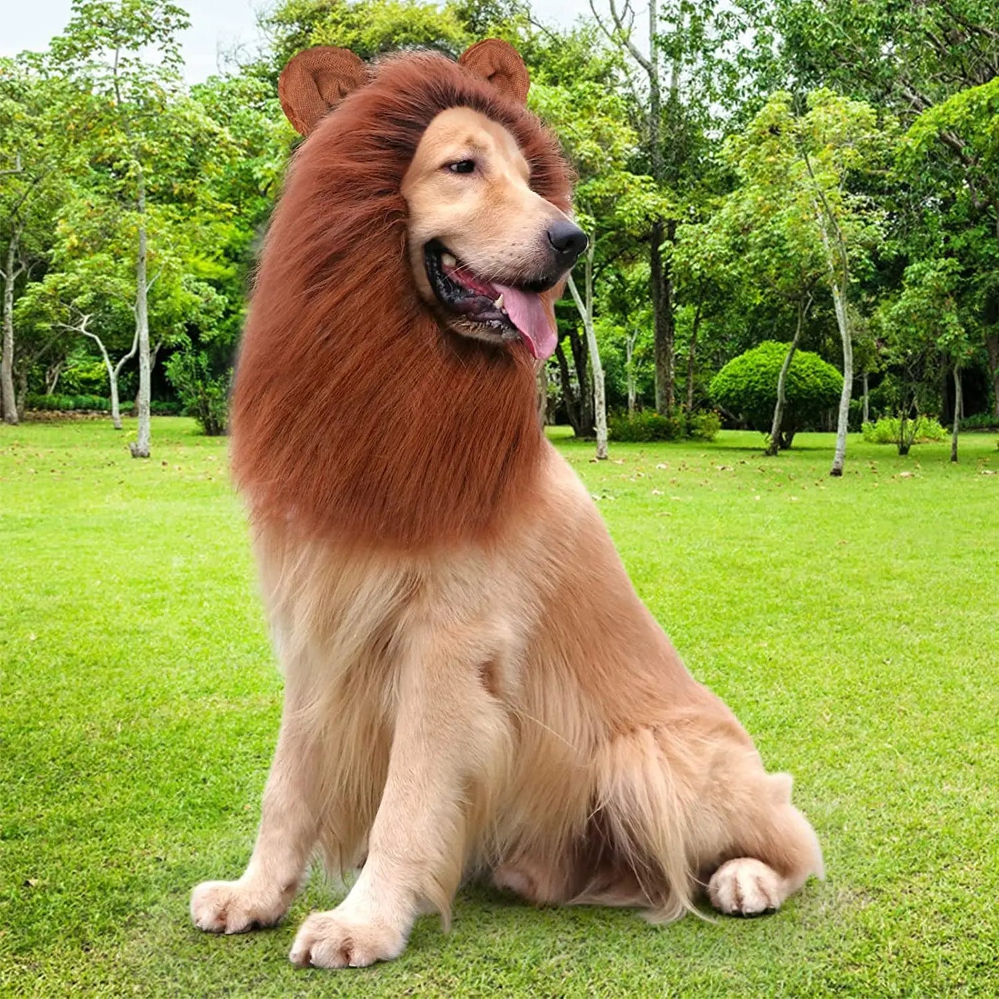 Realistic Lion Mane Costume for Dogs - Perfect for Medium & Large Breeds, Ideal for Halloween and Pet Parties