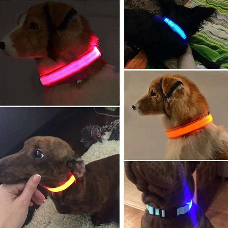 💡🐾 LED Adjustable Dog Collar | Blinking & Flashing Light | Glow Pets Safety | Waterproof 🌧️