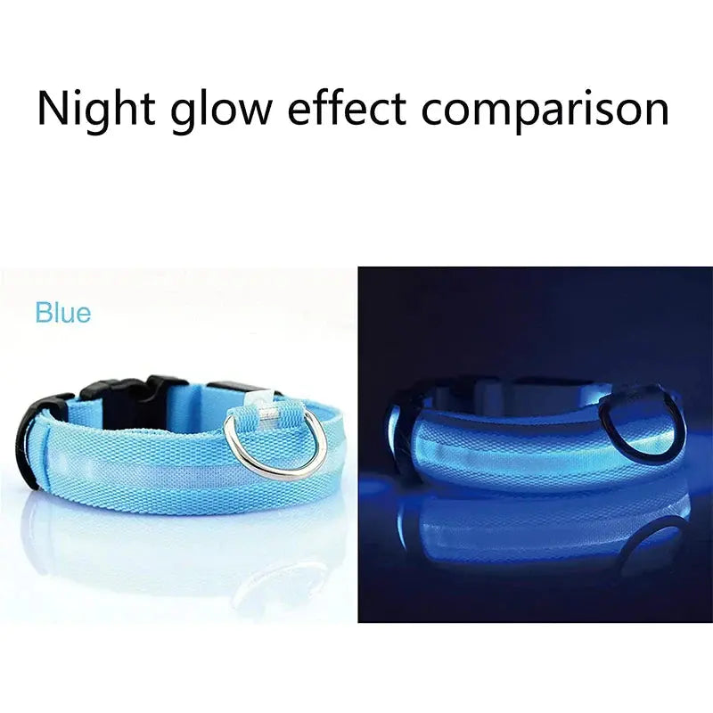 💡🐾 LED Adjustable Dog Collar | Blinking & Flashing Light | Glow Pets Safety | Waterproof 🌧️