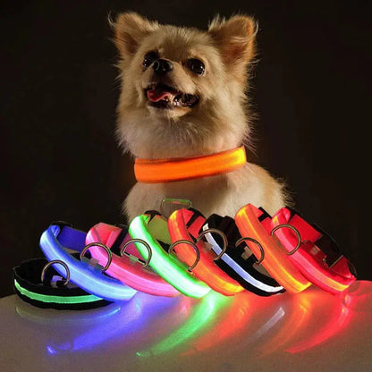 💡🐾 LED Adjustable Dog Collar | Blinking & Flashing Light | Glow Pets Safety | Waterproof 🌧️